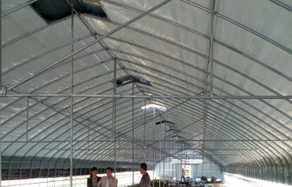 成都溫室大棚 成都溫室大棚