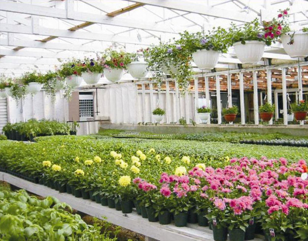 成都連棟大棚 成都連棟大棚