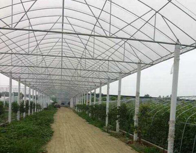 四川溫室大棚價格 四川溫室大棚價格