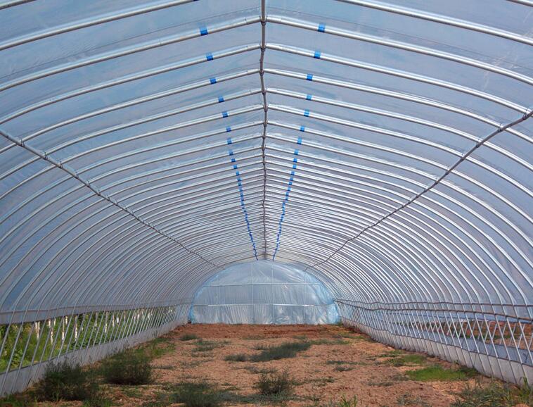 鋼架大棚 鋼架大棚