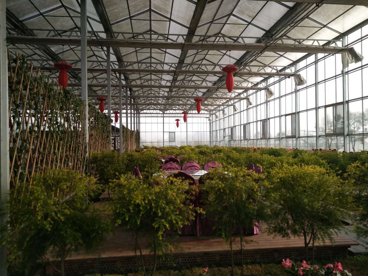 四川生態(tài)餐廳 四川生態(tài)餐廳