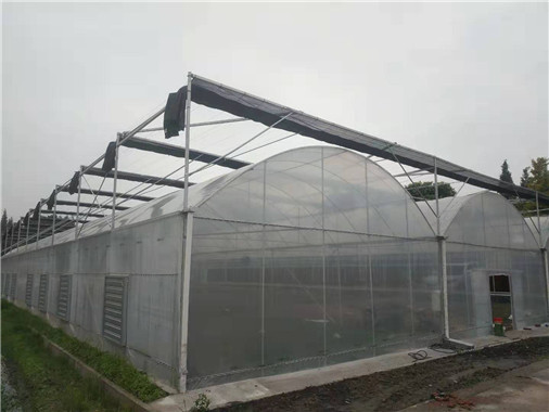 成都溫室大棚圖1 成都溫室大棚圖1