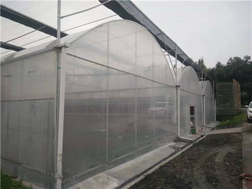 成都溫室大棚圖2 成都溫室大棚圖2
