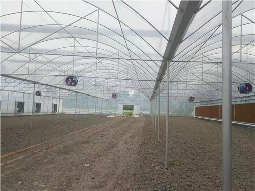 成都溫室大棚圖3 成都溫室大棚圖3