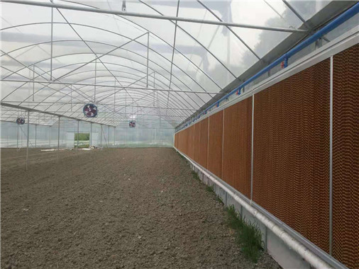 成都溫室大棚圖4 成都溫室大棚圖4